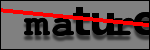 Texte à identifier