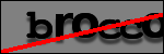 Texte à identifier