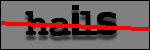 Texte à identifier