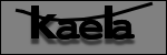 Texte à identifier