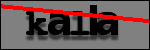 Text to Identify