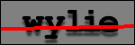 Text to Identify