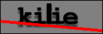 Texte à identifier