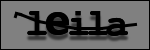 Texte à identifier