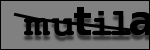 Texte à identifier