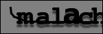 Texte à identifier