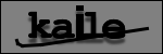 Texte à identifier