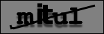 Texte à identifier