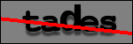Texte à identifier