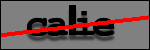Texte à identifier