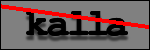Texte à identifier
