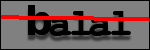 Texte à identifier
