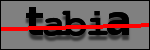 Texte à identifier