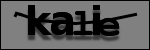 Texte à identifier