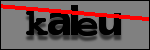 Texte à identifier