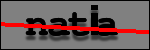 Texte à identifier