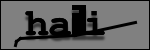 Texte à identifier