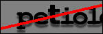 Testo da Identificare