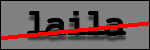 Testo da Identificare