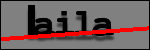 Texte à identifier