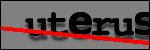 Texte à identifier