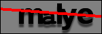 Testo da Identificare