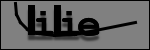 Texte à identifier