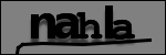 Text to Identify