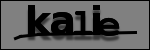 Texte à identifier