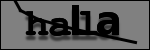 Texte à identifier