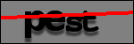 Testo da Identificare