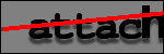 Testo da Identificare