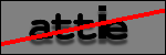 Testo da Identificare