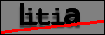 Texte à identifier