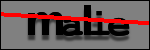 Texte à identifier