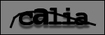 Texte à identifier