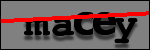 Texte à identifier