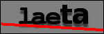 Text to Identify