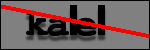 Text to Identify