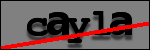 Text to Identify