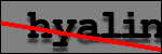 Text to Identify