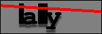 Text to Identify