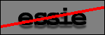 Text to Identify