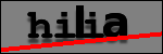 Text to Identify