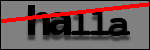 Text to Identify
