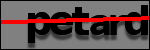 Texte à identifier