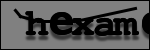 Texte à identifier
