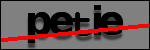 Texte à identifier