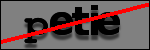 Texte à identifier