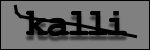 Texte à identifier